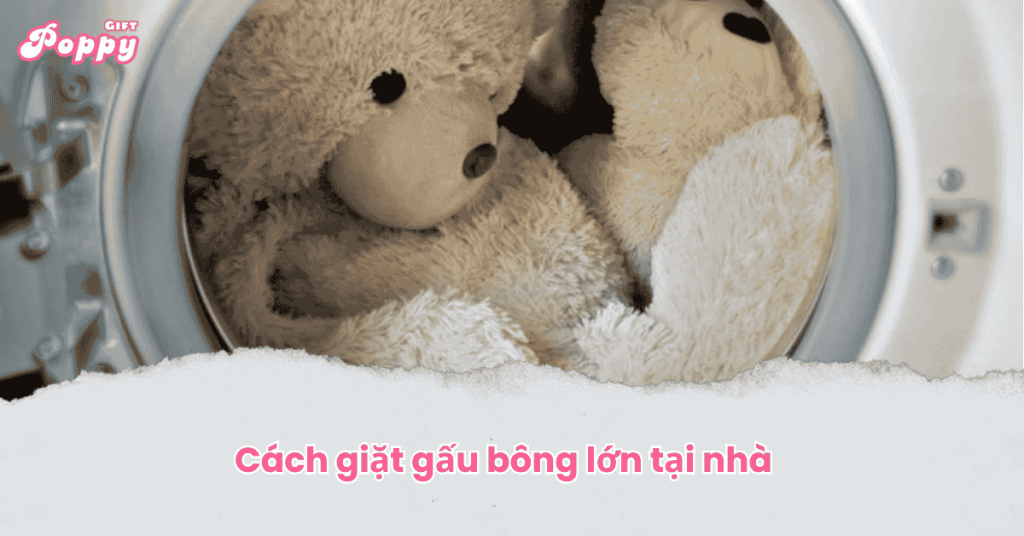 Cách giặt gấu bông lớn tại nhà