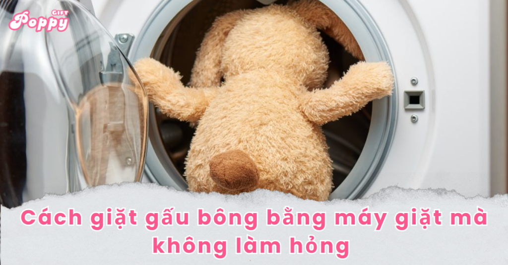 Cách giặt gấu bông